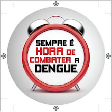 www.combatadengue.com.br