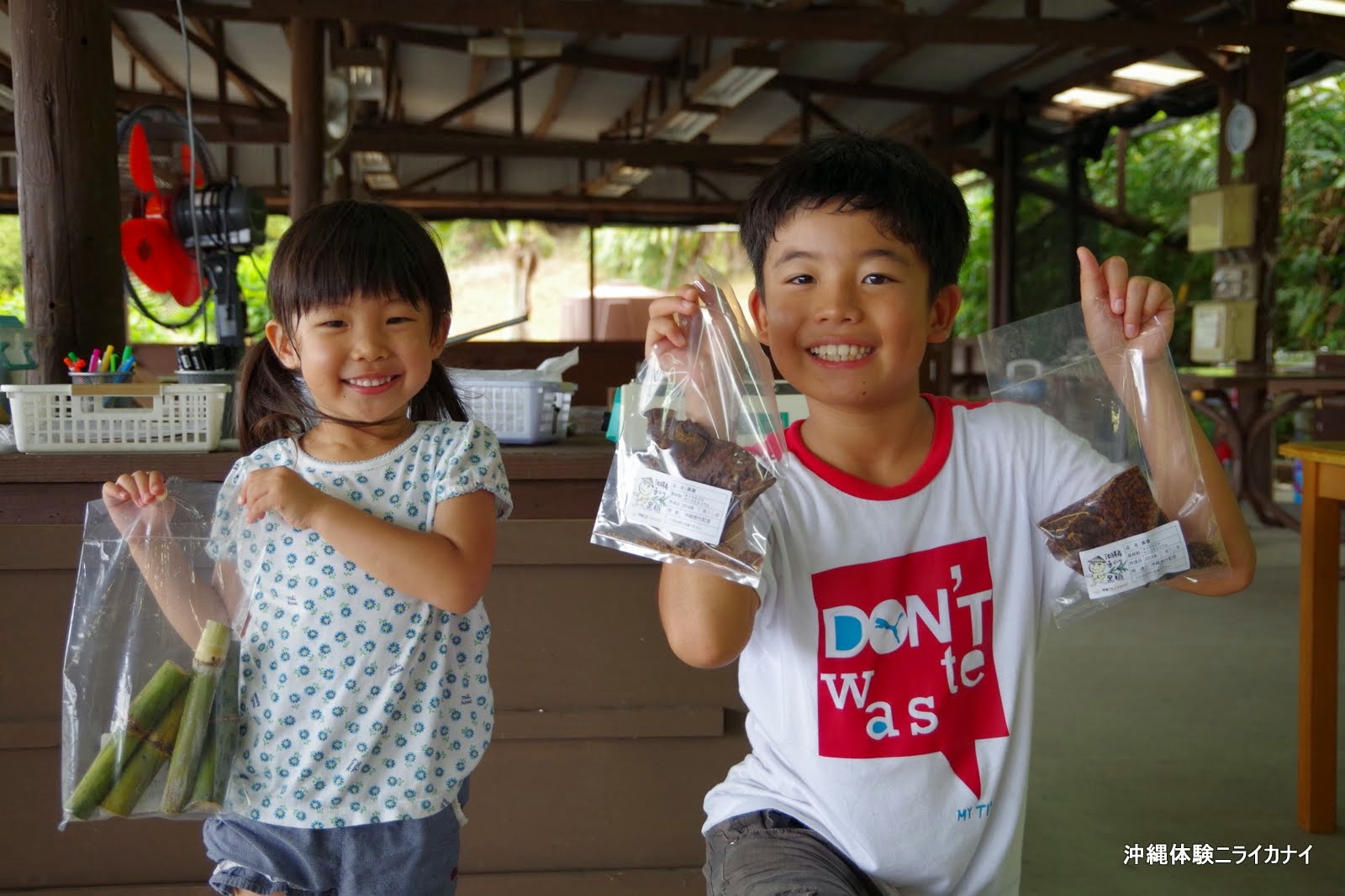 体験/観光 サトウキビ 収穫 黒糖 夏休み 宿題 自由研究