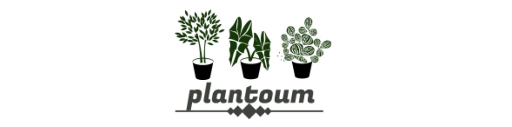 Plantoum