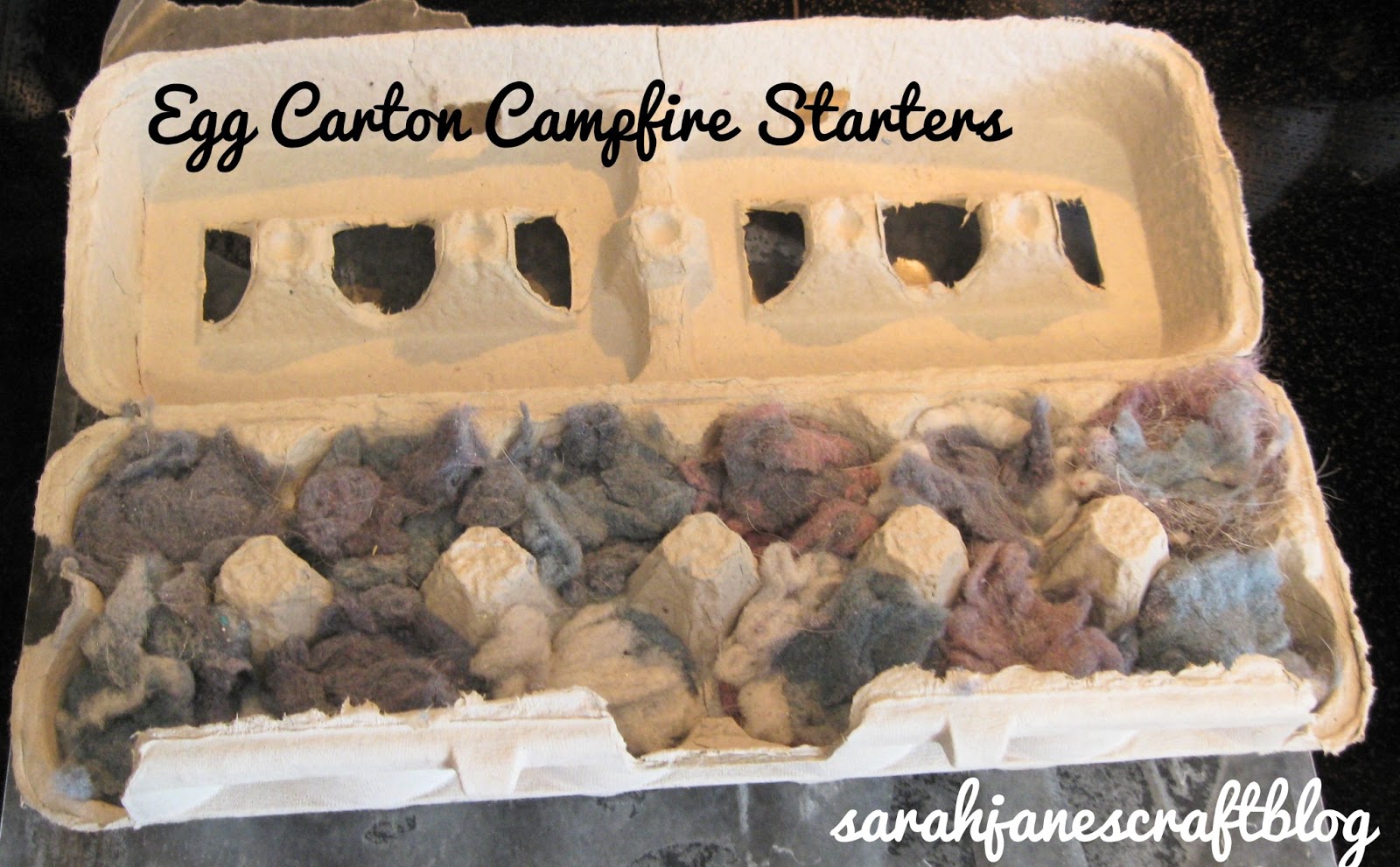Sarah Jane's Craft Blog Egg Carton Campfire Starters