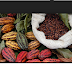 Cacao Seed Processing in the Estate Crop or Plantation
