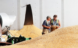 OSHA fines the North Central Farmers Elevator in Ipswich for exposing workers to grain engulfment