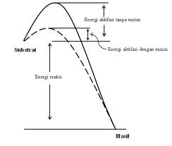Bionomipa Indikator 24 Ciri Ciri Dan Cara Kerja Faktor Yang Mempengaruhi Enzim