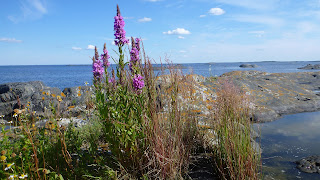 Borgarna Ängskär