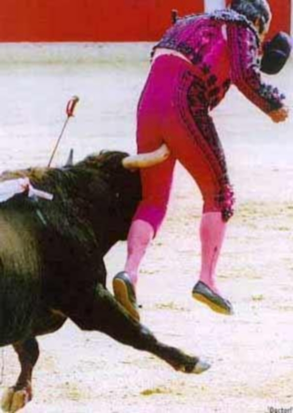 Toros Asesinos