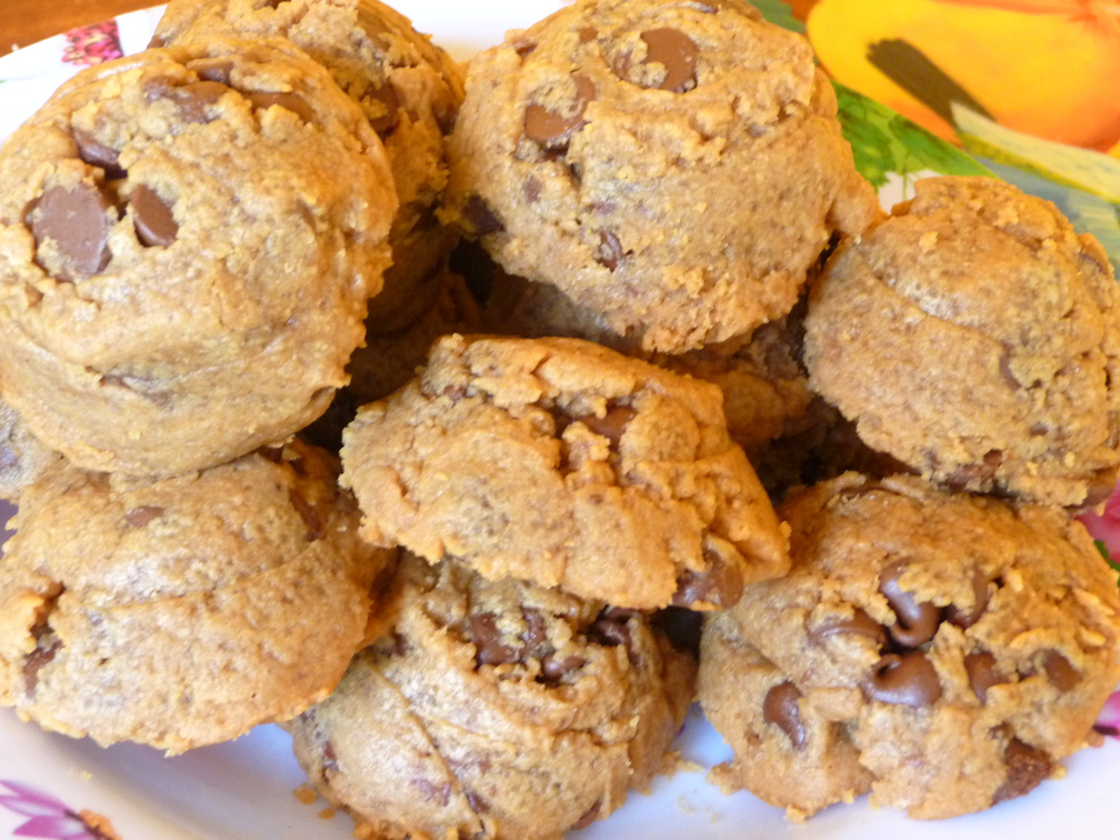 SPLENDID LOWCARBING BY JENNIFER ELOFF FLOURLESS CHOCOLATE CHIP PEANUT