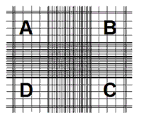 Hemocytometer Image