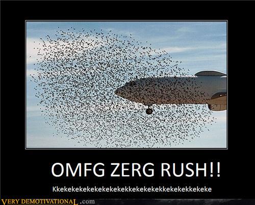 [Bild: demotivational-posters-omfg-zerg-rush.jpg]