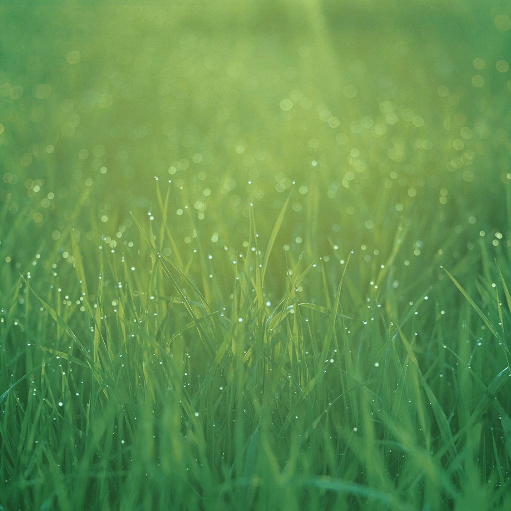 http://4.bp.blogspot.com/-GEc-iny0ysM/T2dX_YMKq-I/AAAAAAAACOE/Vo-DEfoKHiQ/s1600/New-ipad-3-background-wal-3.png