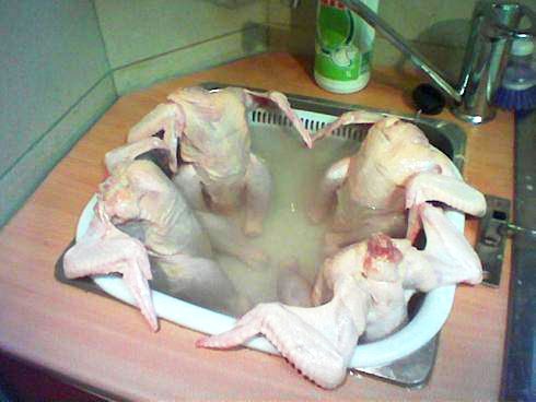 Ayam Kampung Mandi Telanjang Bulat, NO SENSOR! | Go Ngeblog