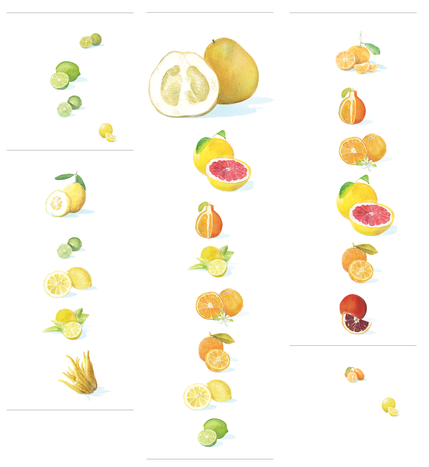 Species New to Science [Botany • 2018] Genomics of the Origin and