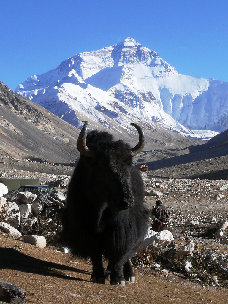 Amazing Mt Everest HD Wallpapers Beautiful Photos