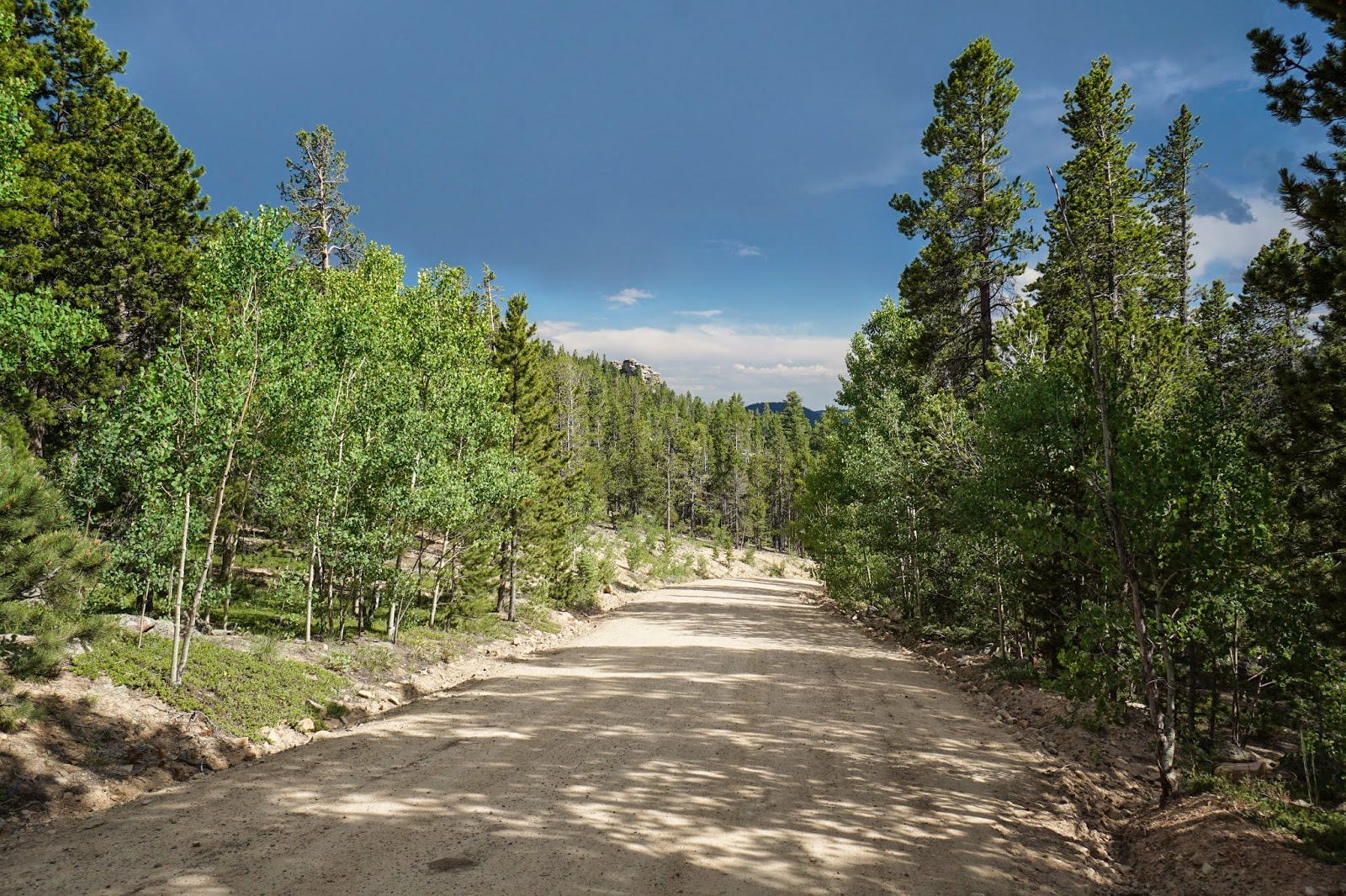 Go Hike Colorado Snowshoe Hare Trail, Golden Gate Canyon State Park