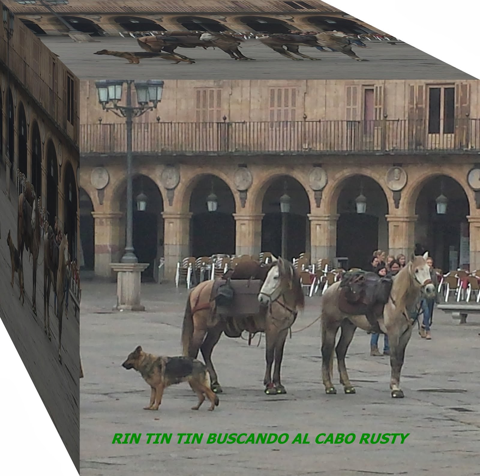RINTINTIN BUSCANDO AL CABO RUSTY