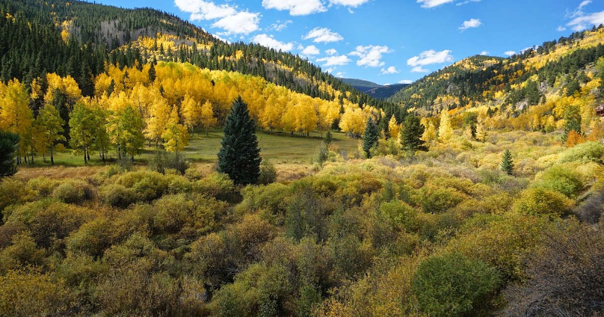 Go Hike Colorado Squaw Pass Road Fall Colors, Arapaho National Forest