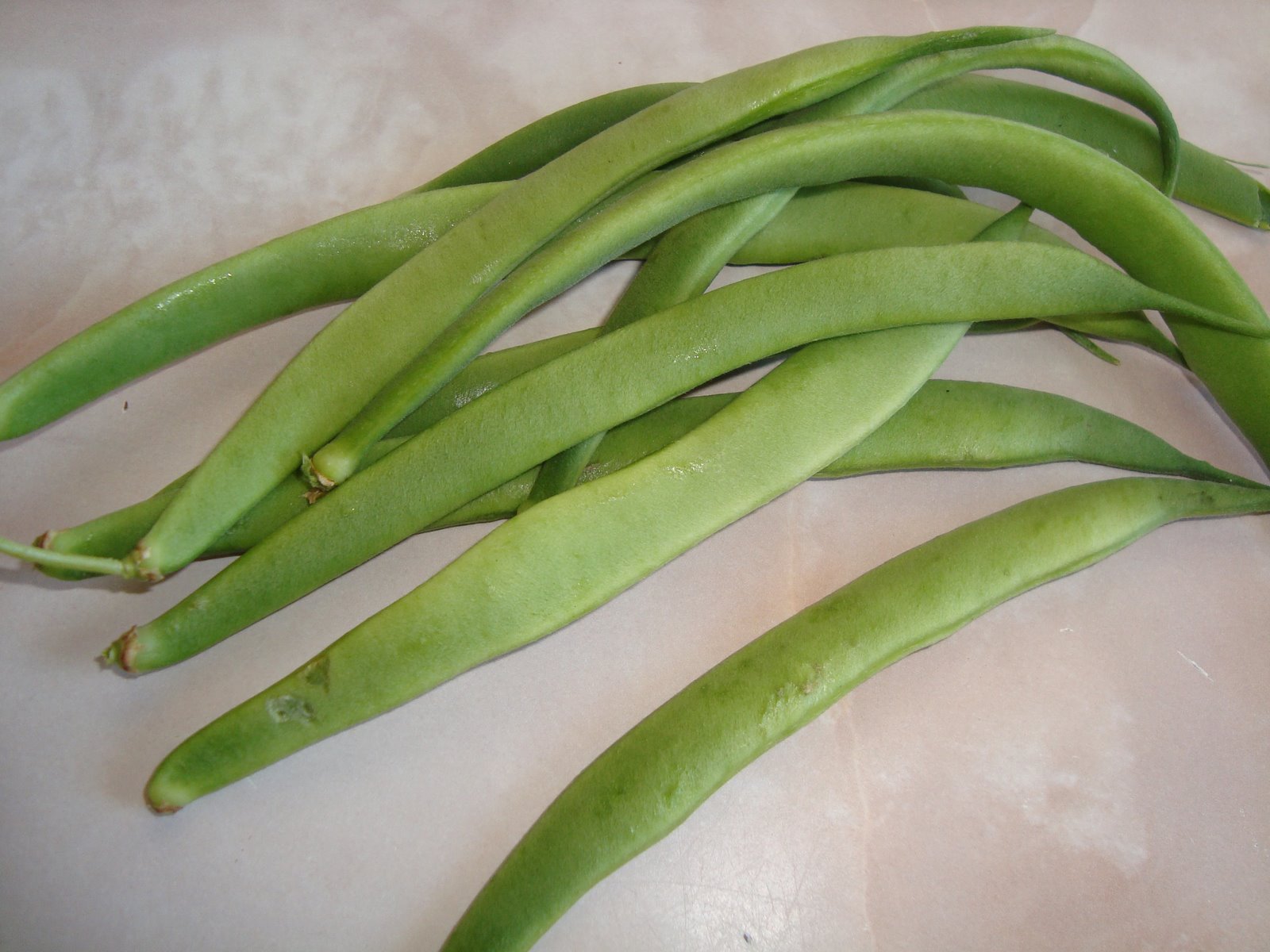 Wendy's Culinary Delights Dwarf French Beans