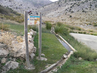 Collado Mangueta – El Bosque (Circular)
