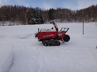 雪ノ下野菜