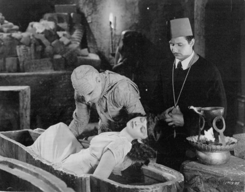 Andrea Kay Egyptologist