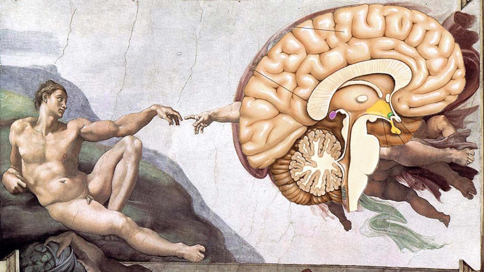 the creation of man and the future of religion Technology and innovation for the future of production: accelerating value creation 3 contents preface this world economic forum white paper is proposed in. the creation of man and the future of religion Technology and innovation for the future of production: accelerating value creation 3 contents preface this world economic forum white paper is proposed in.