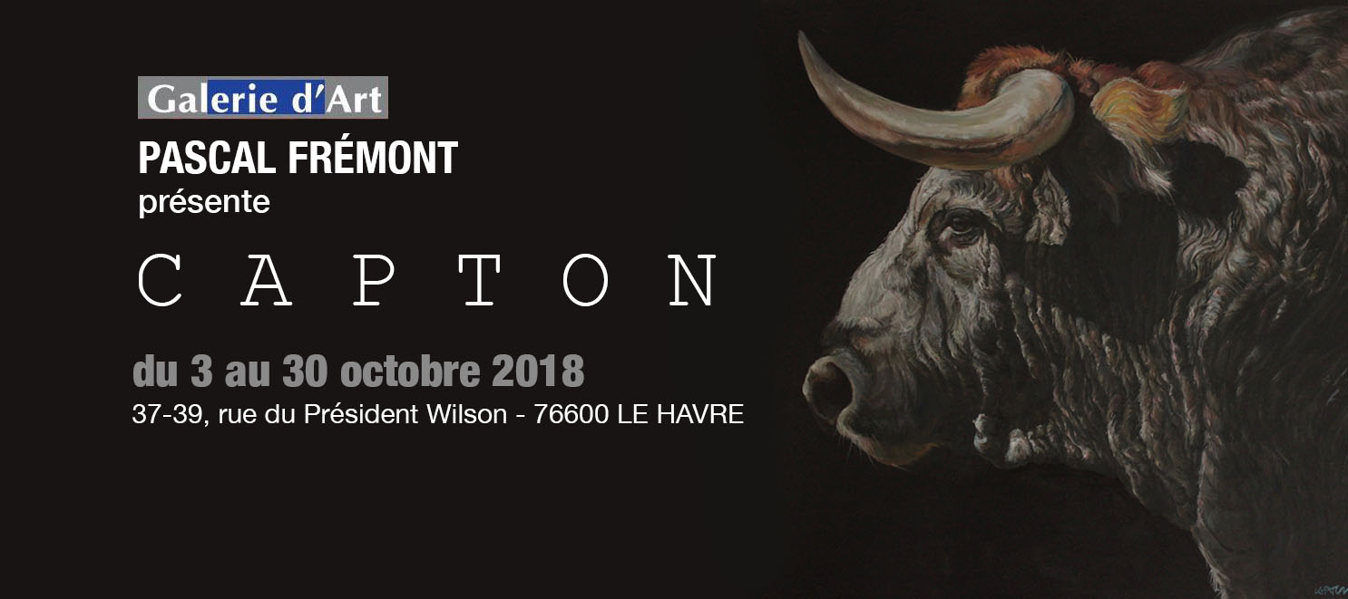 LE HAVRE : CAPTON À LA GALERIE D'ART PASCAL FRÉMONT