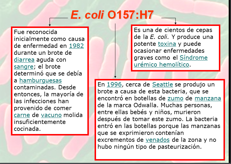 e. coli o157:h7 essay Rapid and specific detection of viable escherichia coli o157:h7 cells in ready-to- eat (rte) meat products, by duplex quantitative pcr (qpcr) procedures with. e. coli o157:h7 essay Rapid and specific detection of viable escherichia coli o157:h7 cells in ready-to- eat (rte) meat products, by duplex quantitative pcr (qpcr) procedures with.