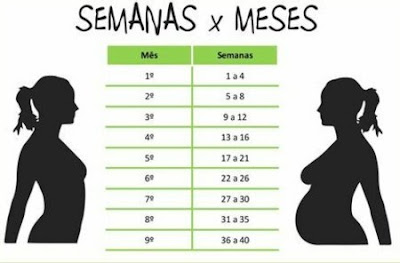 Agente especial mamãe: Como calcular os meses da gravidez Agente especial mamãe: Como calcular os meses da gravidez