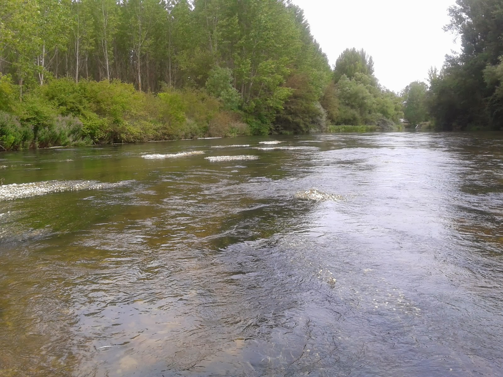 EL RIO PORMA A SU PASO POR CASTRILLO DEL PORMA