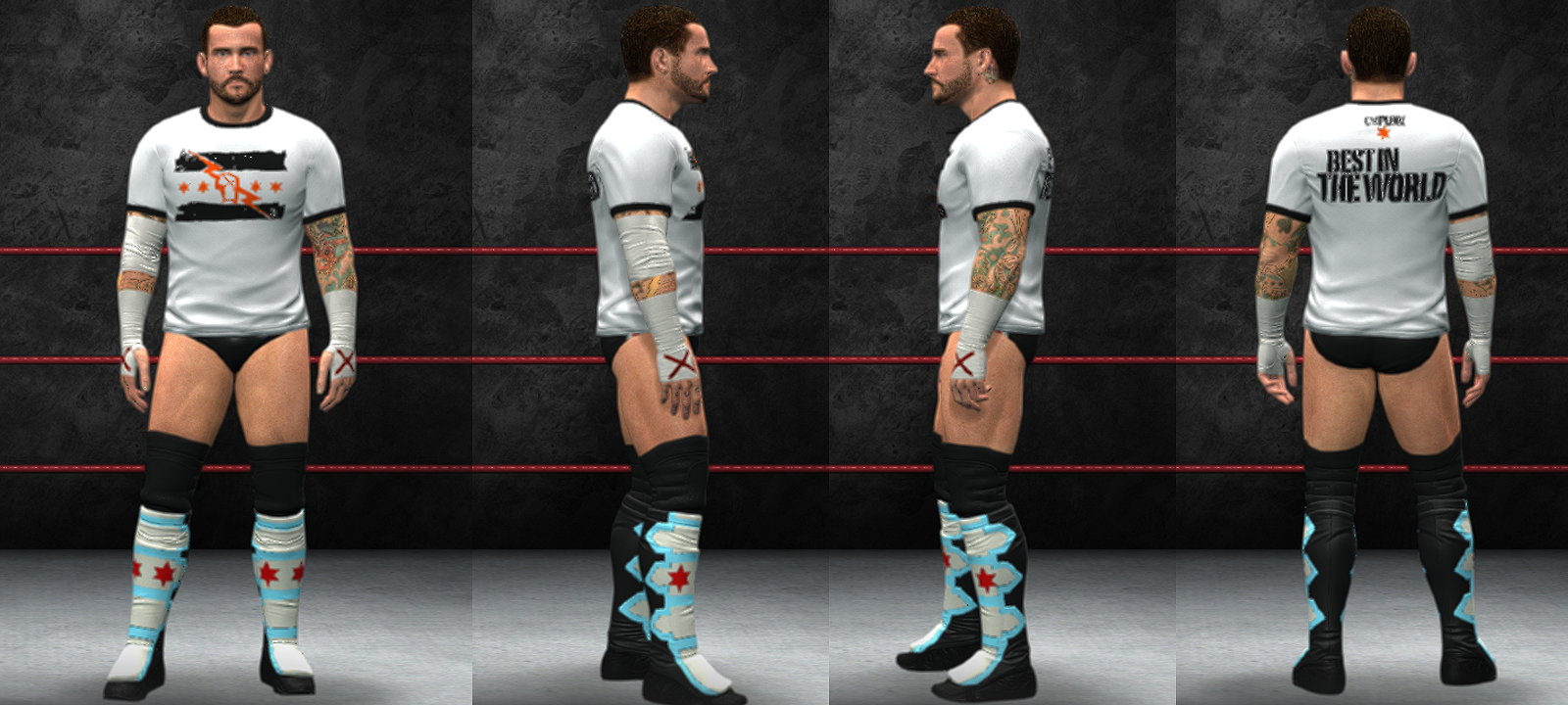 13cmpunk2.png