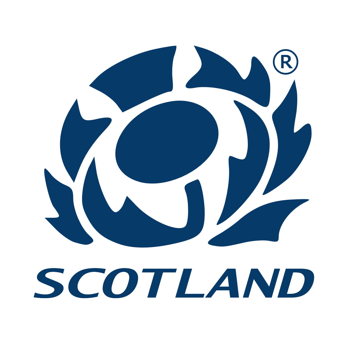scotland rugby badge
