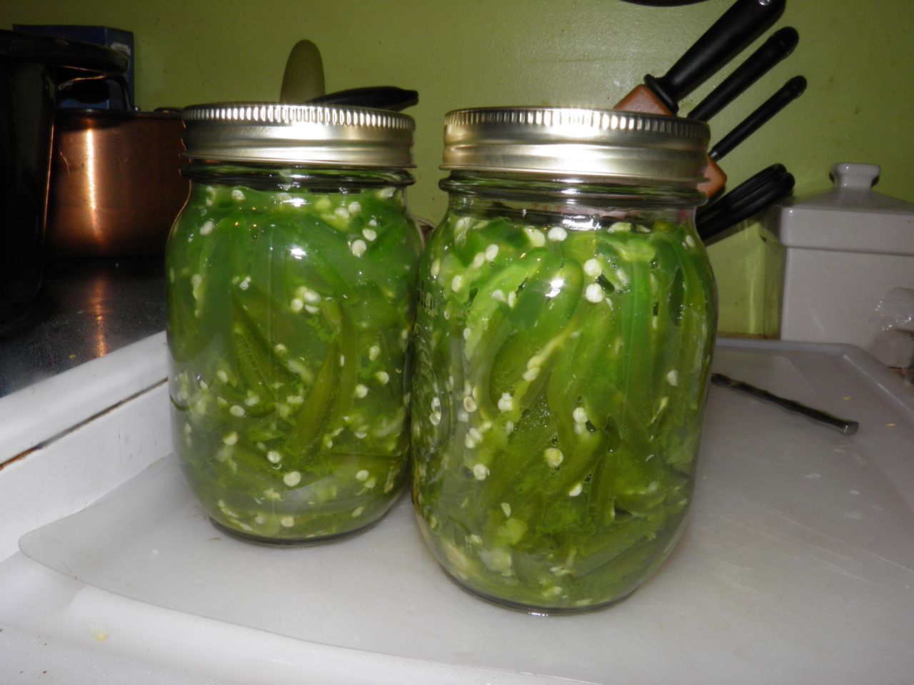 Docaitta Lifestyle Recipe Preserved Jalapeno Peppers, Lactofermented