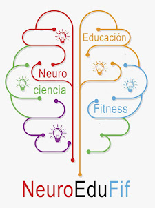 Neurociencia Educación y Fitness