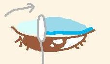 乾いたらふき取る 乾いたらなじませる