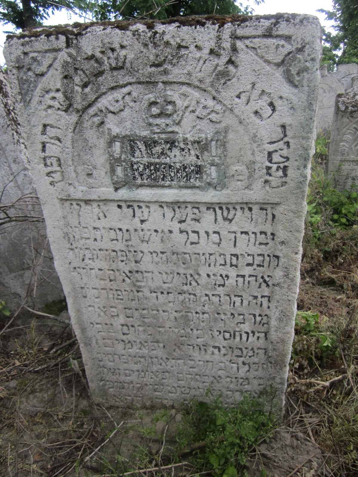 בילד