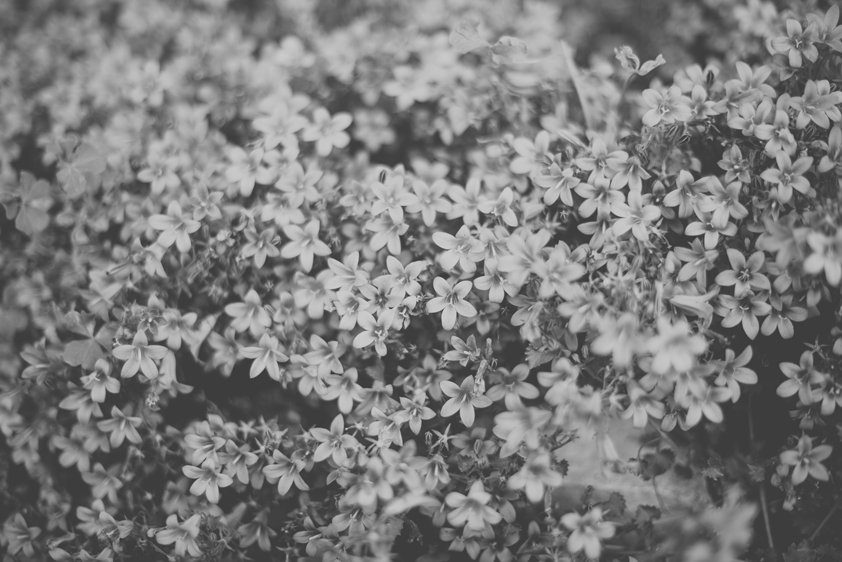 ©estermiriamfotografia