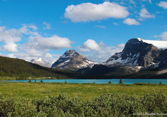 Crowfoot Glacier