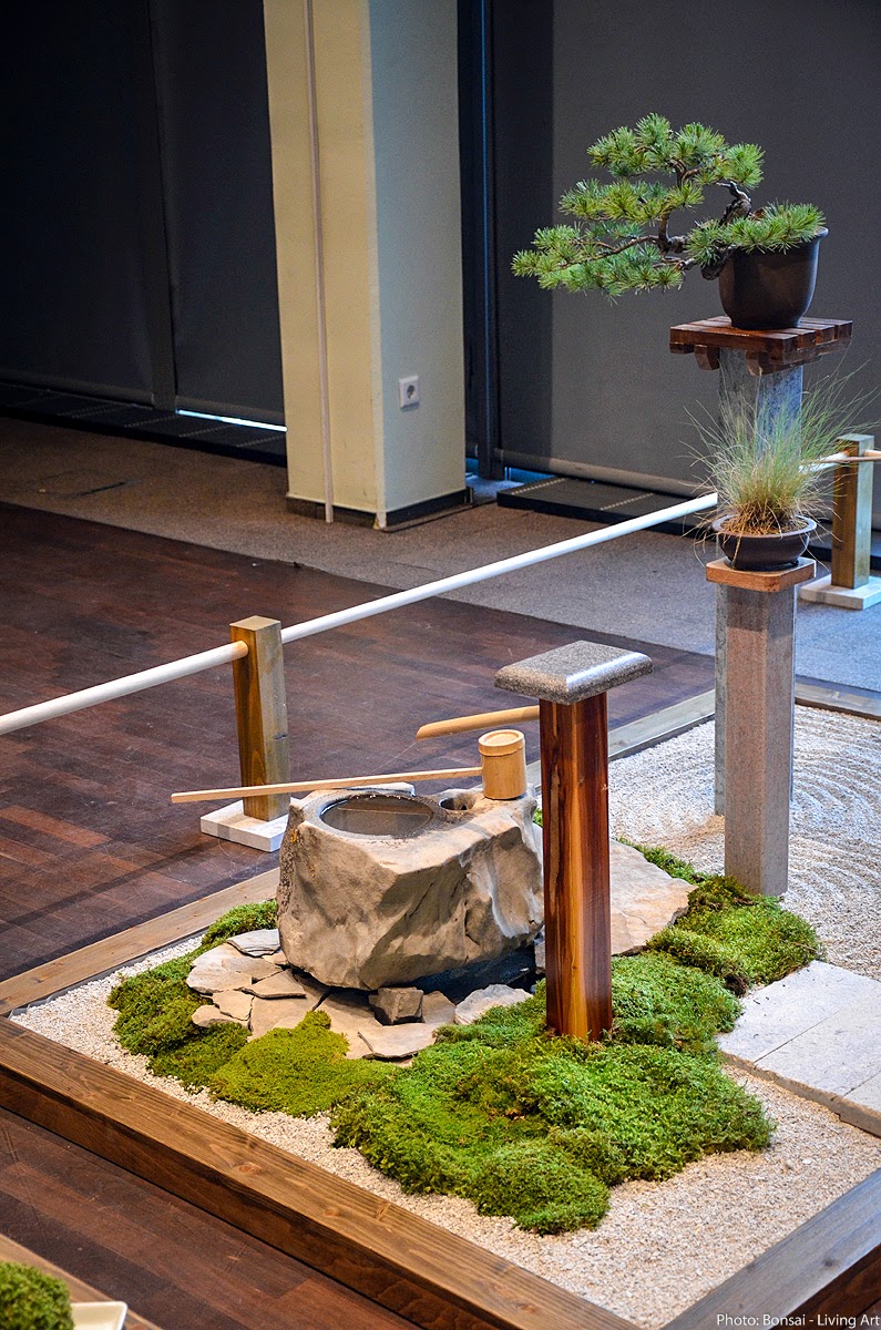 Bonsai Living Art Photos from the VI. International bonsai
