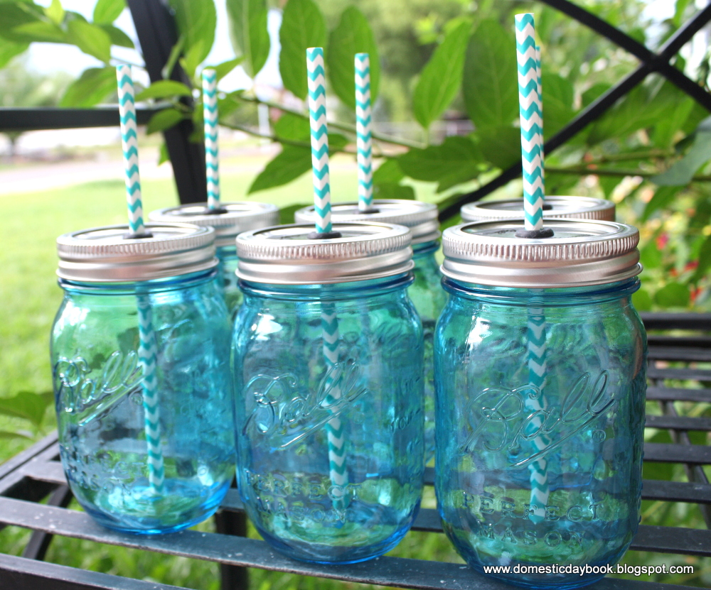My Domestic Daybook Mason Jar Drink Cups