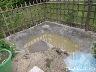 rain water in pond, concrete pond full of water