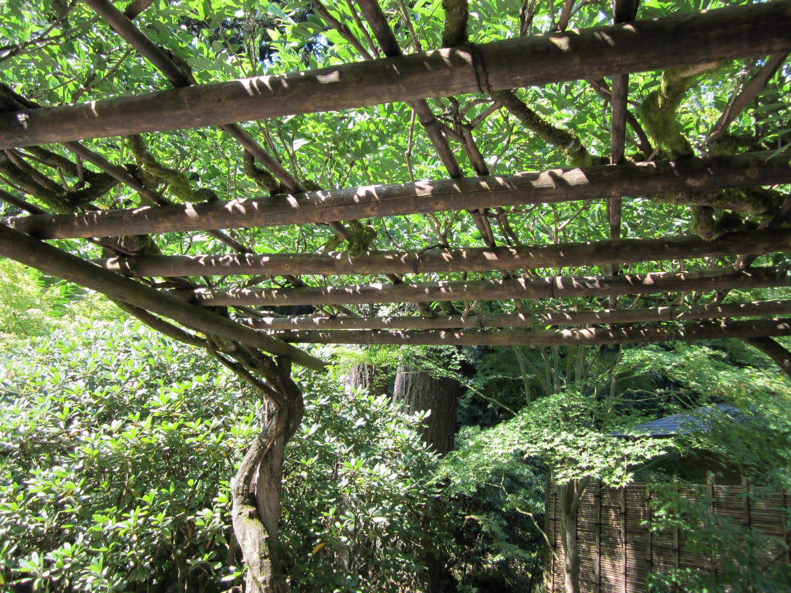Gardens Of Japan