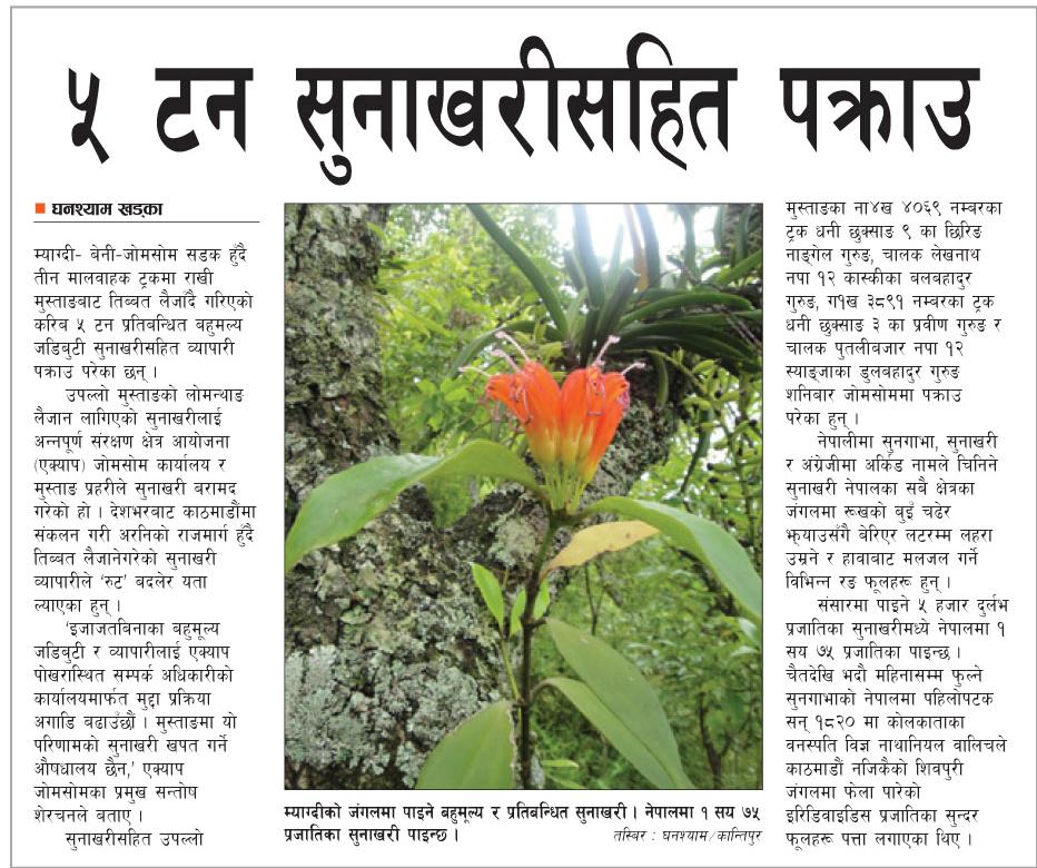 Search Results Kantipur News Nepal The Best Hair Style