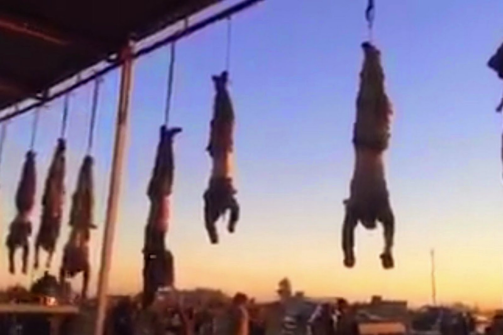 ISIS hang bodies of dead soldiers at entrance to city they plan to make new...