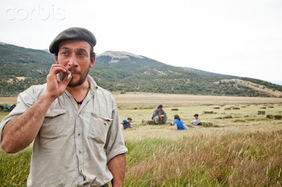 A+man+in+a+beret+with+a+beard+smokes+a+cigarette+in+a+hayfield+with+four+men+taking+a+break+in+the+mowed+hay+behind+him.jpg