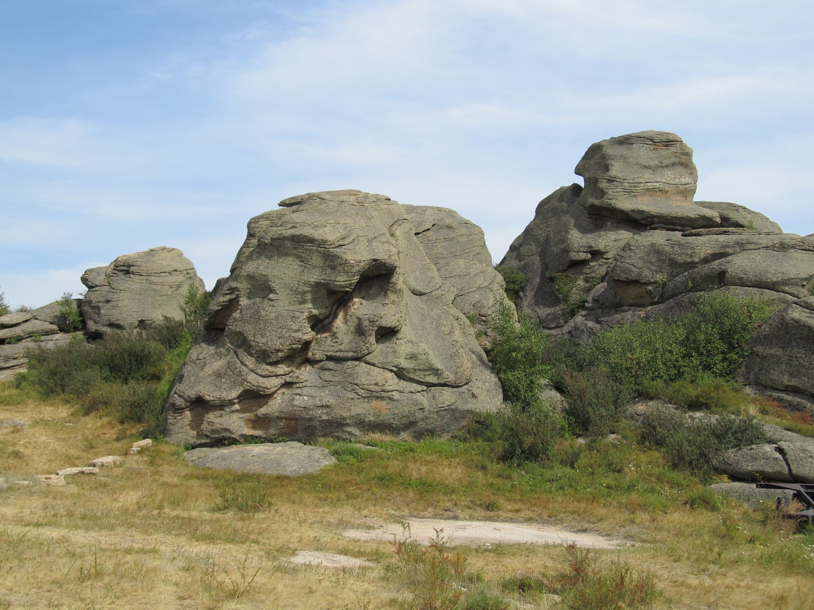 Лагерь Чайка Змеиногорский район
