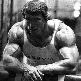 Arnold+Schwarzenegger+Off+Season+Pics Arnold Schwarzenegger Off Season Arnold schwarzenegger - the