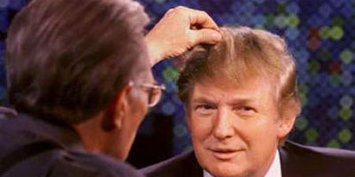 flock of seagulls hair trump