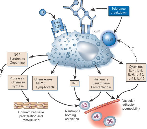 STOP POTS (and Dysautonomia!) Find Your POTS Cause The Wide World of