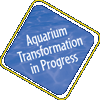 Transformation in Progress