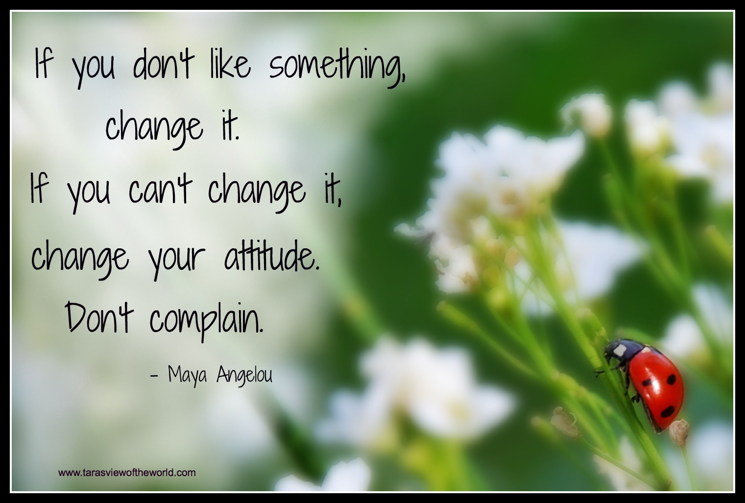 best quotes for essays best quotes for essays