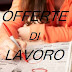 Offerte di Lavoro, Novembre e Natale 2014: Lavorare in Acea Energia, Supermercati, GDO, Calzedonia